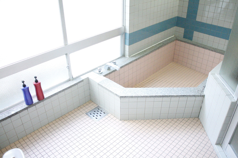 Bathroom 4, Numaguchi Ryokan, Saito
