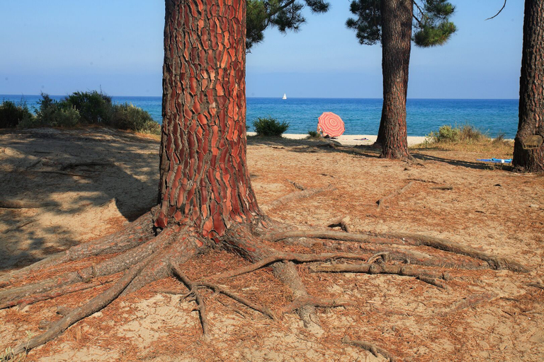 Others 5, Camping U Casone, Haute-Corse