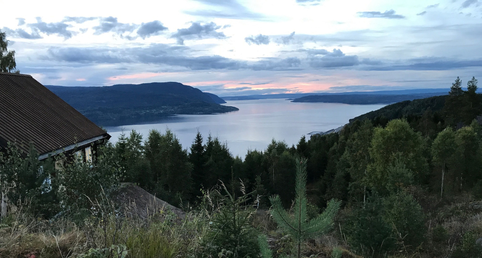 Others