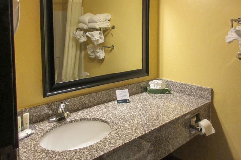Bathroom 3, Quality Inn Williamston, Martin