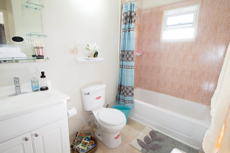 Bathroom 4, The Bailey's New Kingston Suites