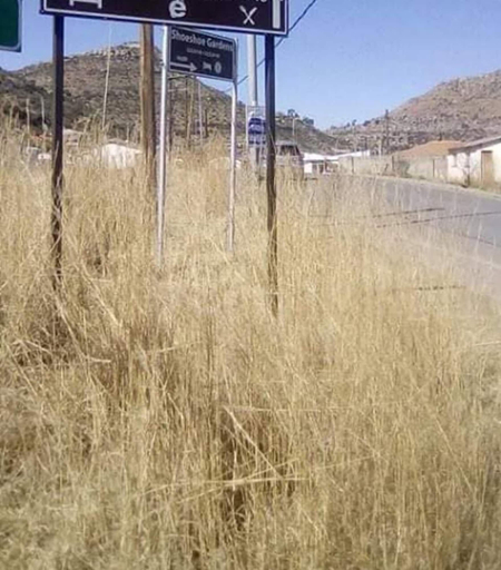 Others, Hillside Cottage Guest House, Thabo Mofutsanyane