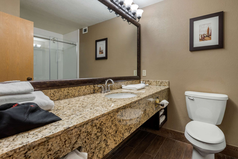 Bathroom 4, Comfort Suites near Route 66, Sangamon