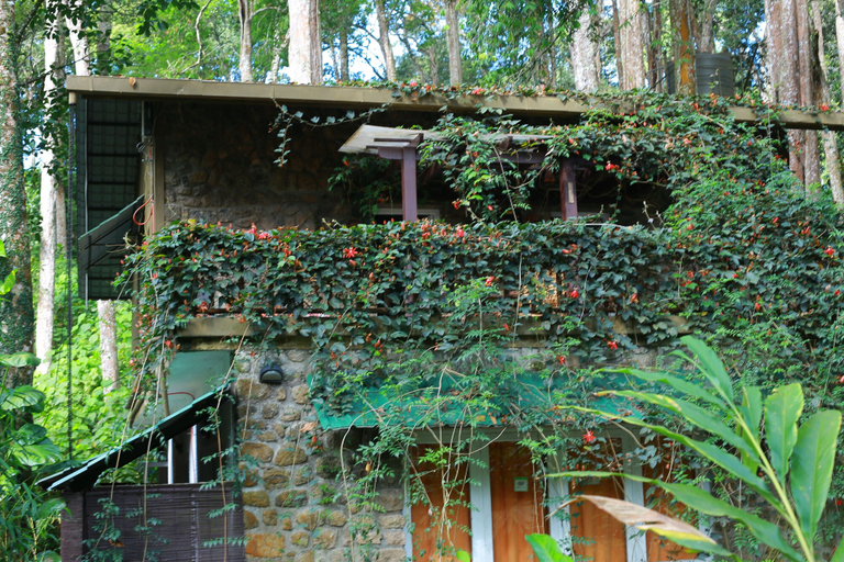 Exterior & Views 2, Green Spaces Munnar, Idukki