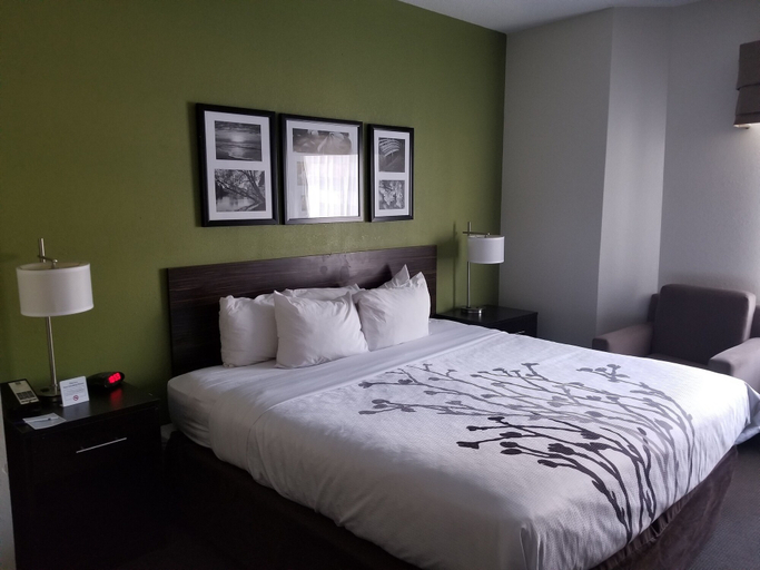 Bedroom 3, Sleep Inn Walterboro I-95, Colleton