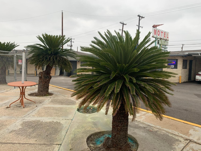 Others 4, El Tejas Motel, Bexar