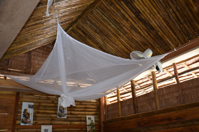 Bedroom 3, Tree Bar Hostel, Sihanoukville