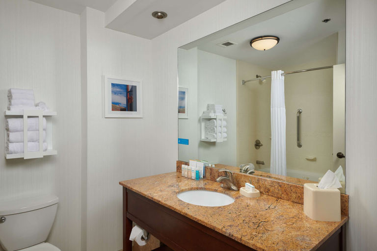Bathroom 4, Hampton Inn Clemson-University Area, Pickens
