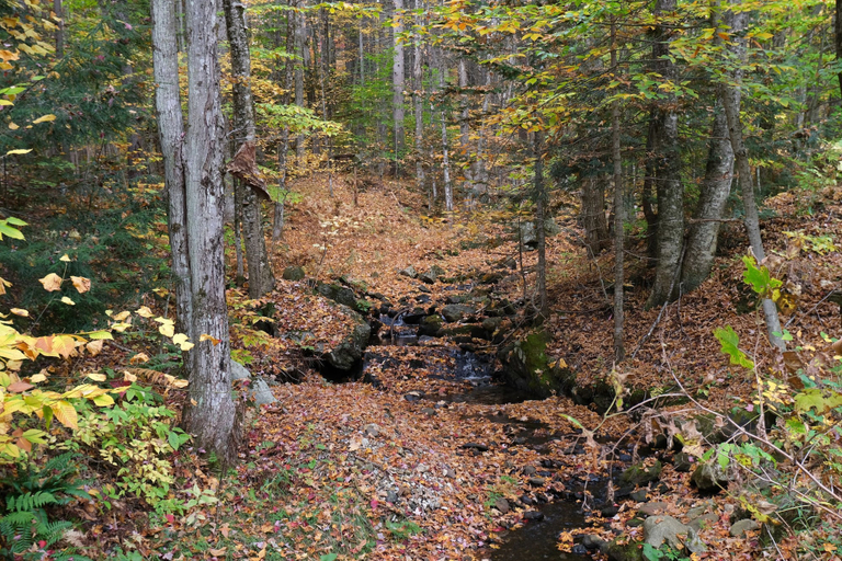Others 5, Ski in & out Spruce Glen Townhomes on Great Eastern Trail, Rutland