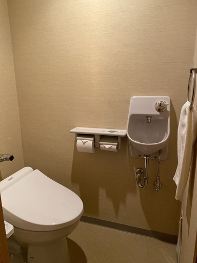 Bathroom 4, Hiroshima City Bunka Koryu Kaikan, Hiroshima