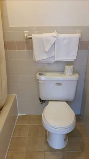 Bathroom 3, The Virginia Lodge, Fairfax