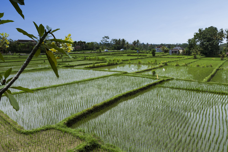 Others 5, Murni's Villa Ligondi, Gianyar