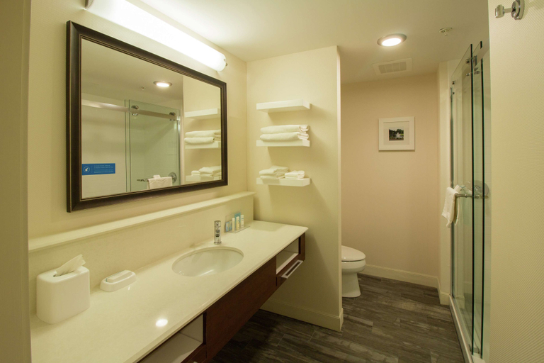 Bathroom 4, Hampton Inn & Suites Cazenovia, Madison