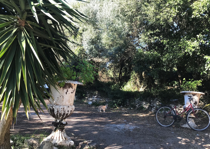 Others 3, Résidence Hôtelière A Trama, Corse-du-Sud