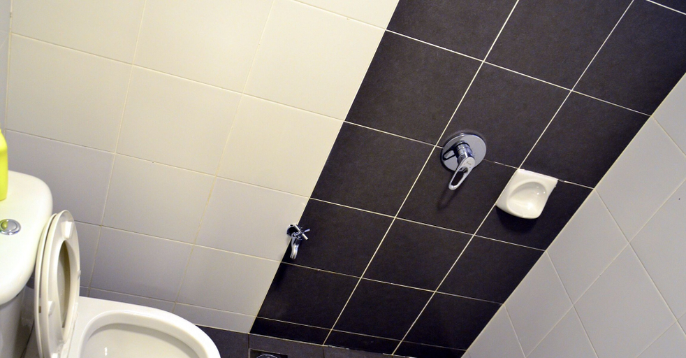 Bathroom, The Woodz Thematic Homestay, Cameron Highlands