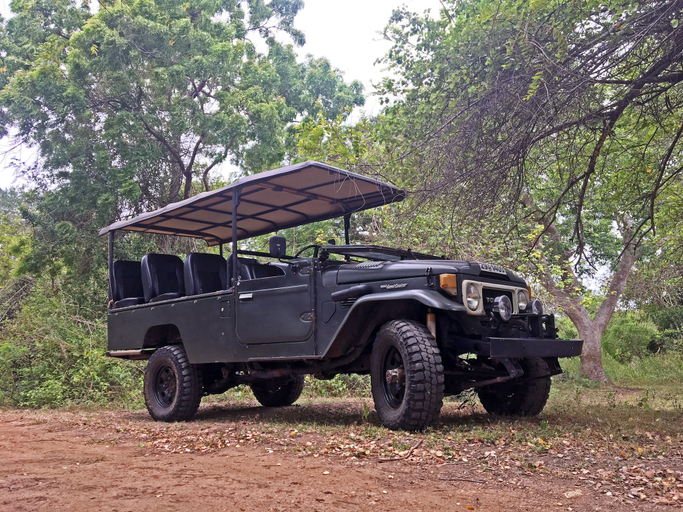 Safari 5, Ceylon Wild Safaris Yala, Thissamaharama