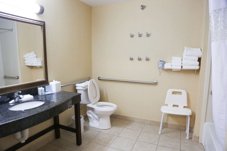 Bathroom 4, Hampton Inn Morehead , Rowan