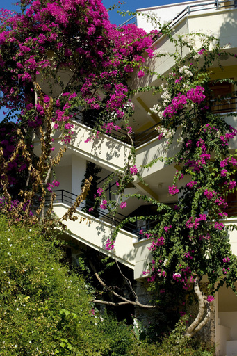 Exterior & Views 2, Hotel Pataros, Kaş
