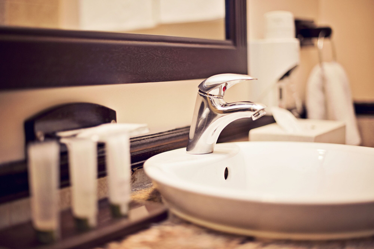Bathroom 4, Premier Hotel Regent, Buffalo City