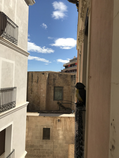 Exterior & Views 2, Apartamentos Boutique Villavieja, Alicante