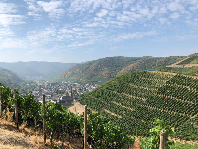 Others 5, Hotel Ahrbella, Ahrweiler