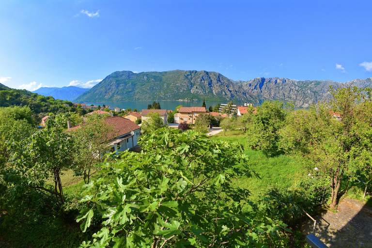 Others 5, Apartments Soso