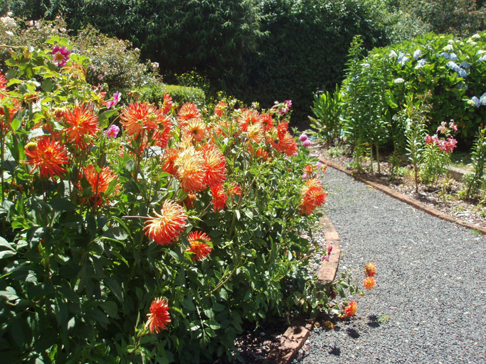 Others 5, Boat Harbour Garden Cottages, Waratah/Wynyard - Pt A