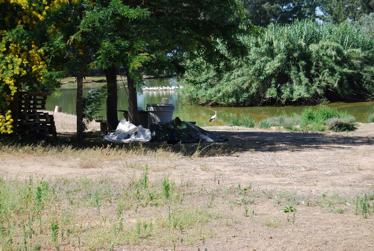 Others 4, Vivienda Rural el Retorno, Sevilla