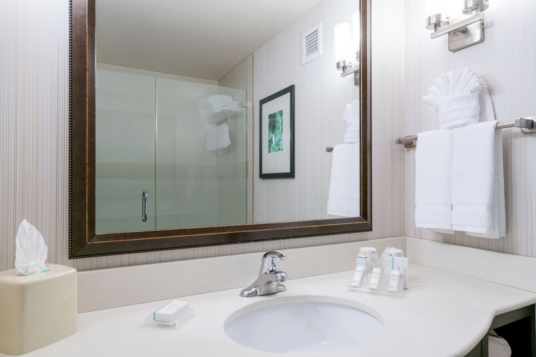 Bedroom 4, Hilton Garden Inn Valley Forge/Oaks, Montgomery
