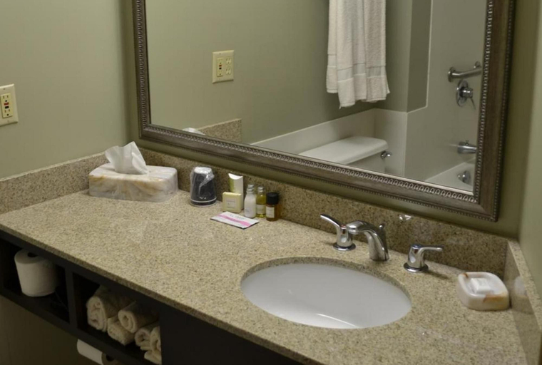 Bathroom 4, Euro Suites Hotel, Monongalia