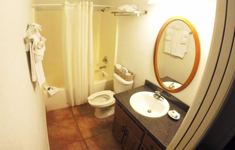 Bathroom 5, Lake Roy Beach Inn, Polk
