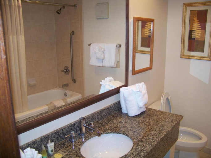 Bathroom 4, Vail Luxury Condos at Sandstone Creek, Eagle