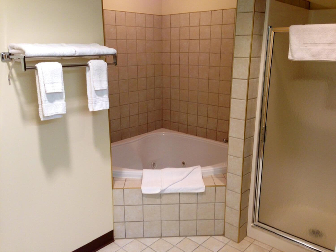 Bathroom 4, Super 8 by Wyndham Ava, Douglas