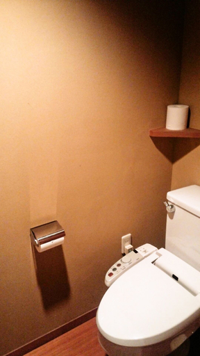 Bathroom 4, Hotel Danrokan, Kōfu
