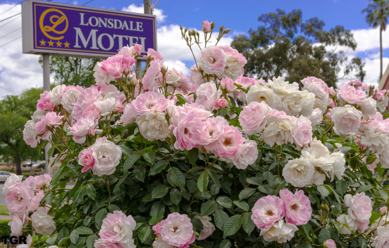 Exterior & Views 2, Hamilton Lonsdale Motel, S. Grampians - Hamilton