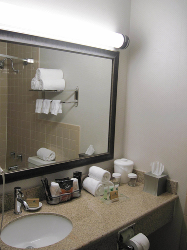 Bathroom 4, Kingston Regency Inn, Ulster