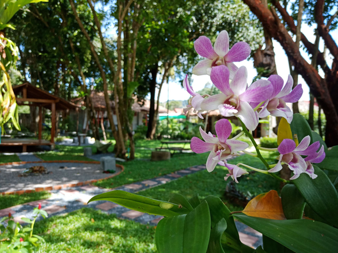 Others 5, Blanco Hostel at Lanta, Ko Lanta