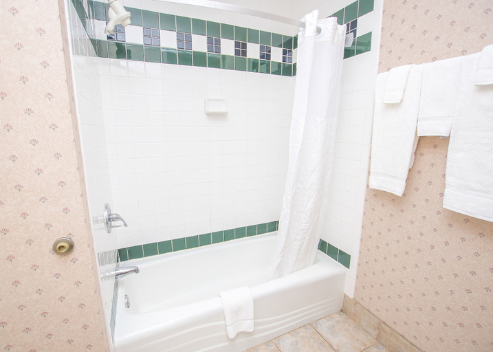 Bathroom 4, Lake Chatuge Lodge, Towns