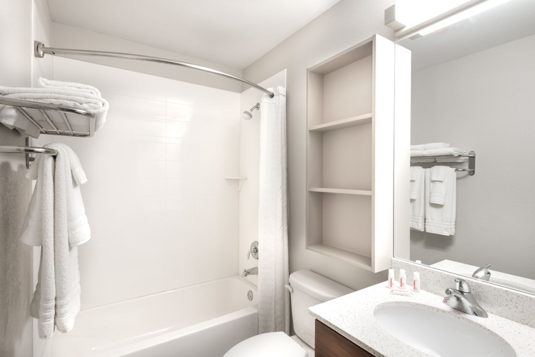 Bathroom 4, Microtel Inn by Wyndham Victor/Rochester, Ontario
