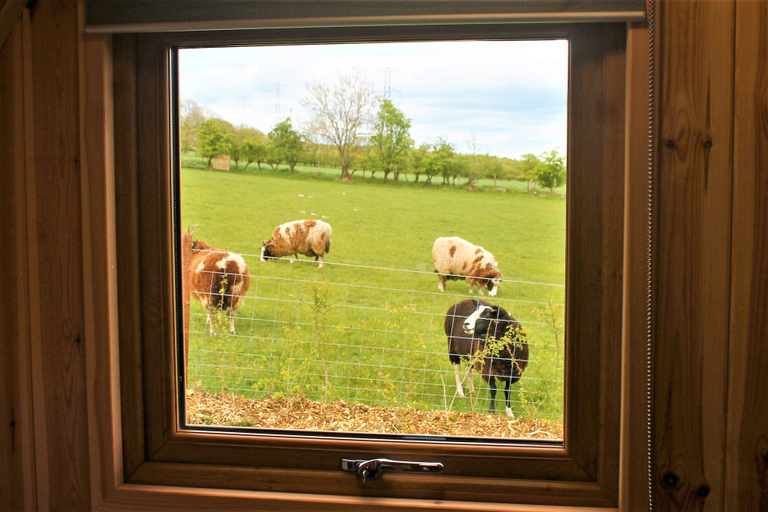 Others 5, Cairnfold Cabins, North Lanarkshire