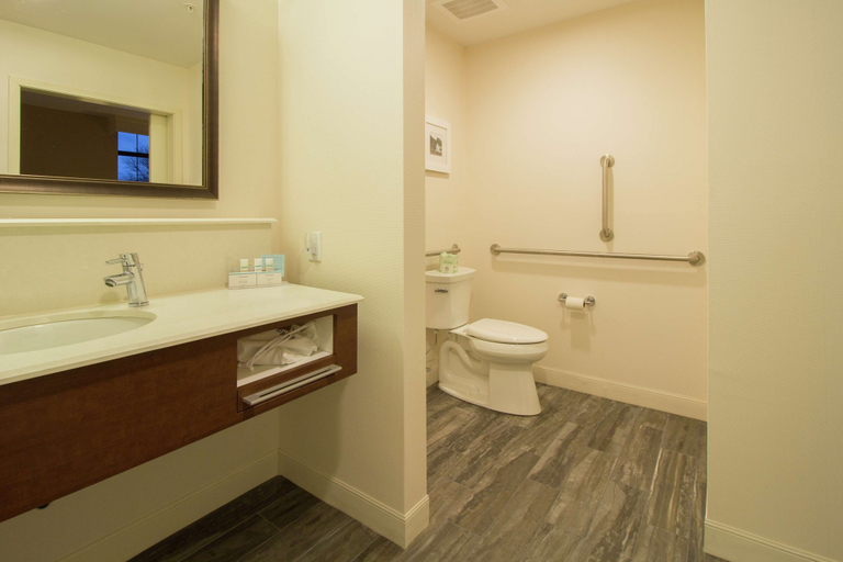 Bathroom 4, Hampton Inn & Suites Cazenovia, Madison
