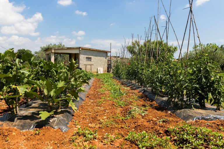 Others 5, Apartments Ana Pula / Exclusive two Bedroom A5, Pula
