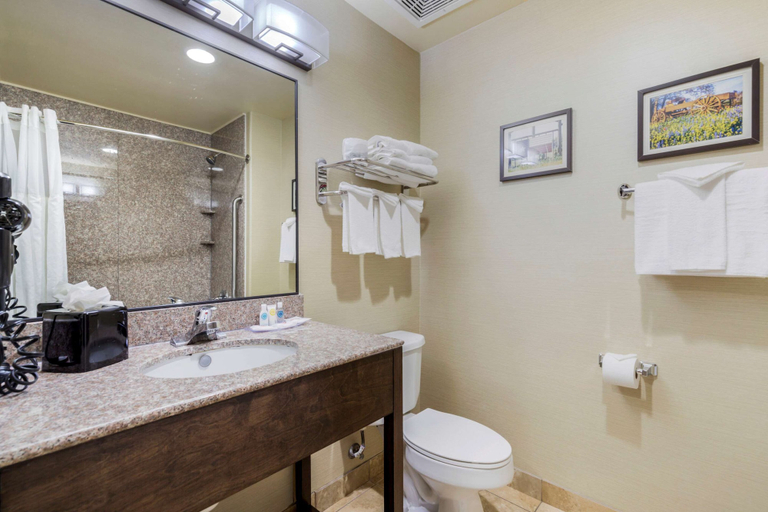 Bathroom 4, Comfort Suites Pflugerville - Austin North, Travis