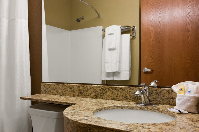 Bathroom 3, Microtel Inn & Suites by Wyndham Pleasanton, Atascosa