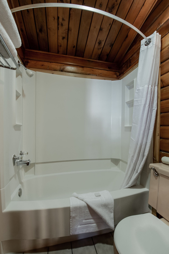 Bathroom 3, Antler Inn, Teton
