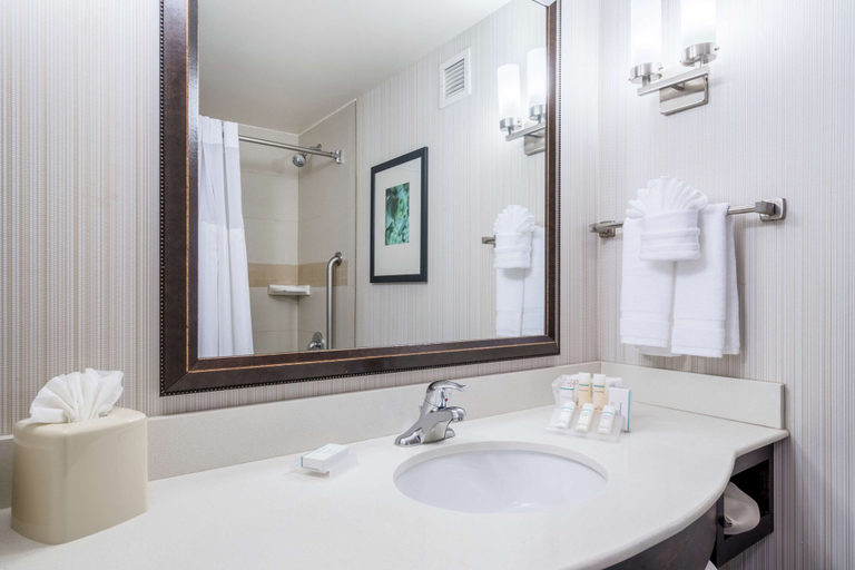 Bathroom 4, Hilton Garden Inn Valley Forge/Oaks, Montgomery