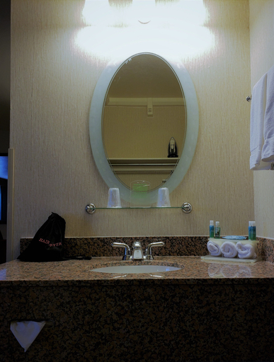 Bathroom 5, Holiday Inn Express MESA VERDE-CORTEZ by IHG, Montezuma