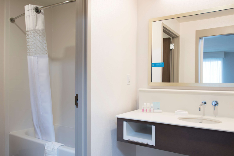 Bathroom 4, Hampton Inn & Suites Grand Rapids Downtown, Kent