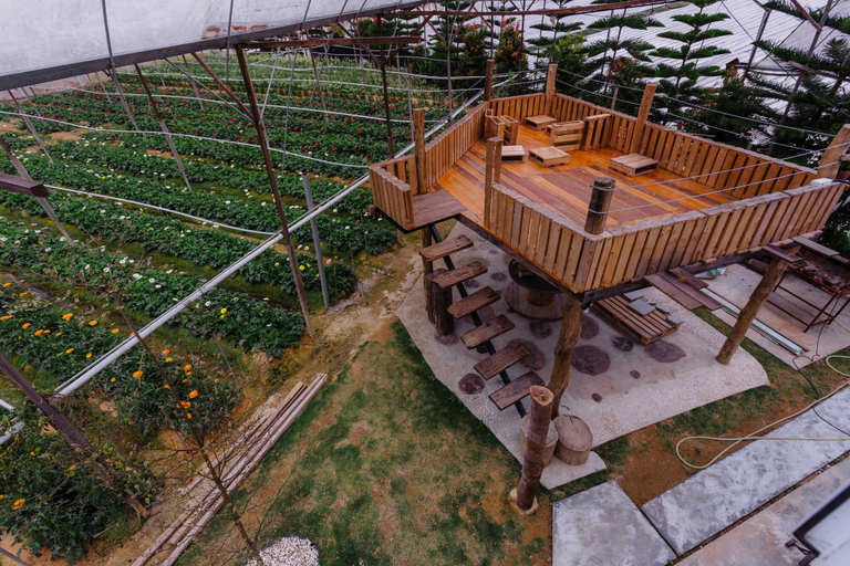 Exterior & Views 2, Westwood Highland - Hostel, Cameron Highlands