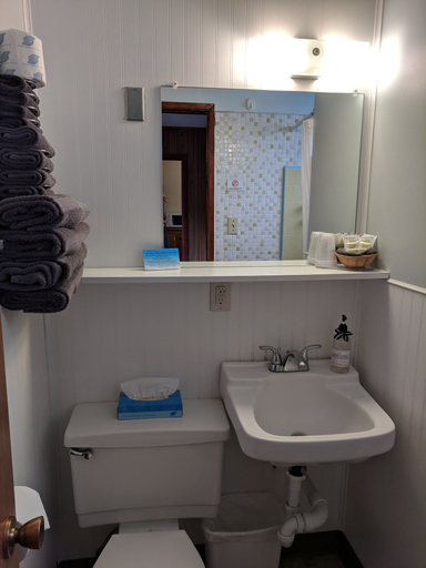 Bathroom 5, Lakeview Motel, Kern